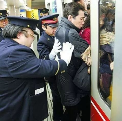 遛狗师一年的工资,遛狗师可以月入过万