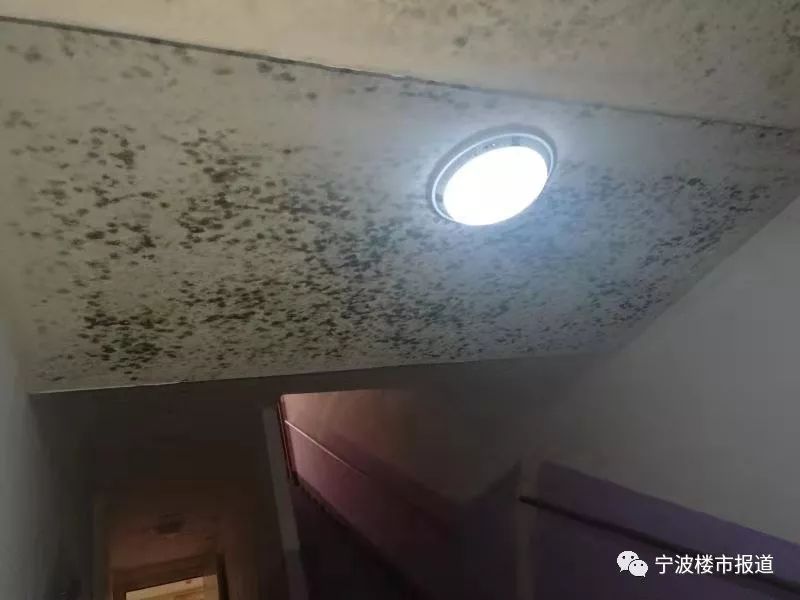 又是这家开发商!才交付两个多月的小区,地下室看着比老小区的还吓人