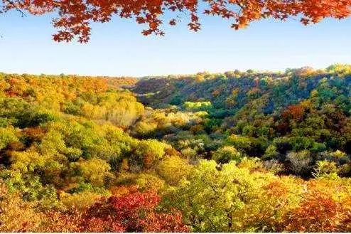 科尔沁传奇,科尔沁大草原的传奇