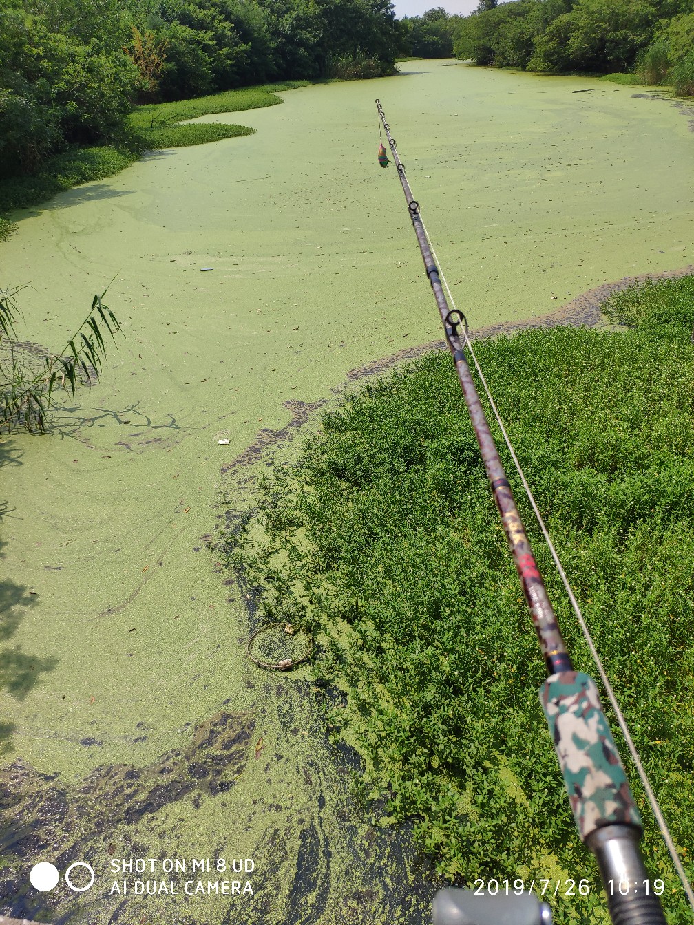 路亚轮怎么清洗,路亚轮拆装保养视频