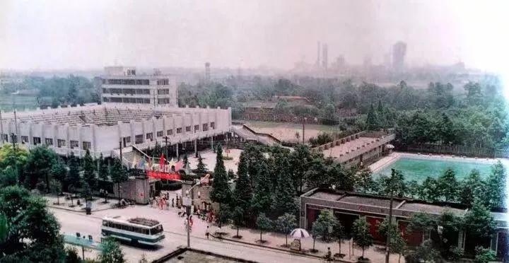 青白江生活怎么样,青白江生活真实感受