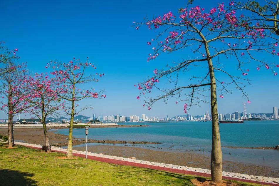 这是一场冰雪世界与海上花园的相遇，期待与你碰撞出不一样的火花~