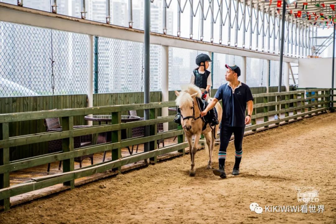 舟山威斯汀打卡攻略,舟山威斯汀和海上丝绸哪家好