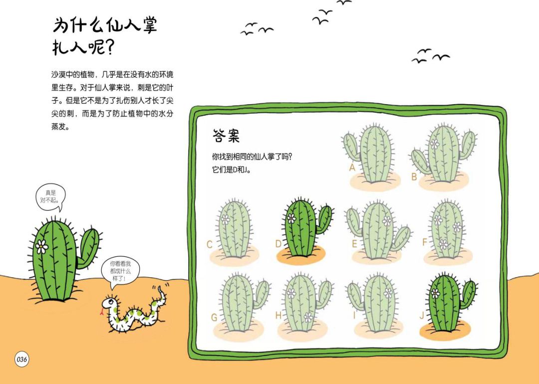 既能学习又能玩的地理游戏,可以学地理的游戏