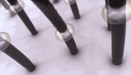 明星推荐日本洗发产品,毛躁头发日本洗发推荐