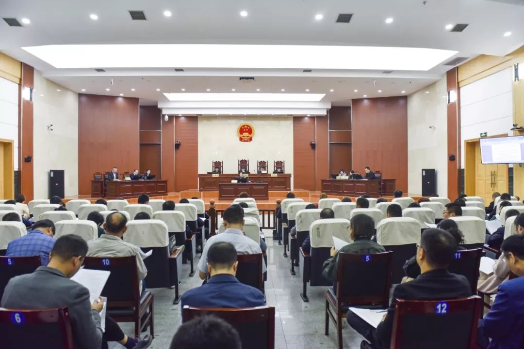 法院助力民营企业发展,司法护航经济社会高质量发展