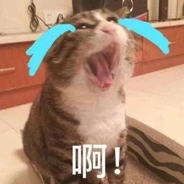 不去澳门可以买东西吗,去澳门必须买的东西