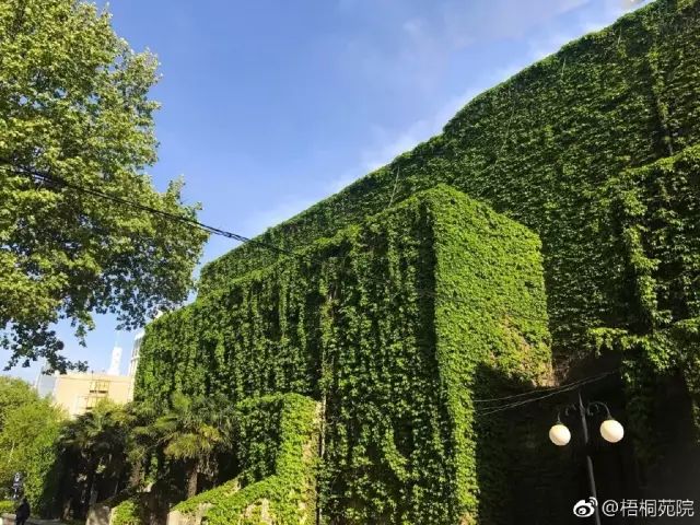 @2019级水之子，多图带你们提前逛河海～