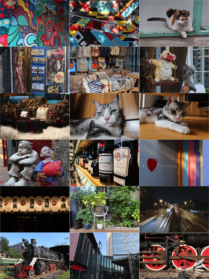 口袋vlog摄影机,口袋相机拍摄vlog视频