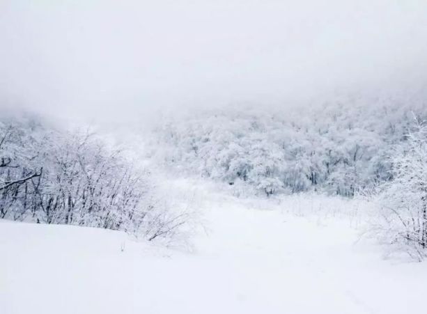 中秋诗会|辛酉丑故事数学专栏