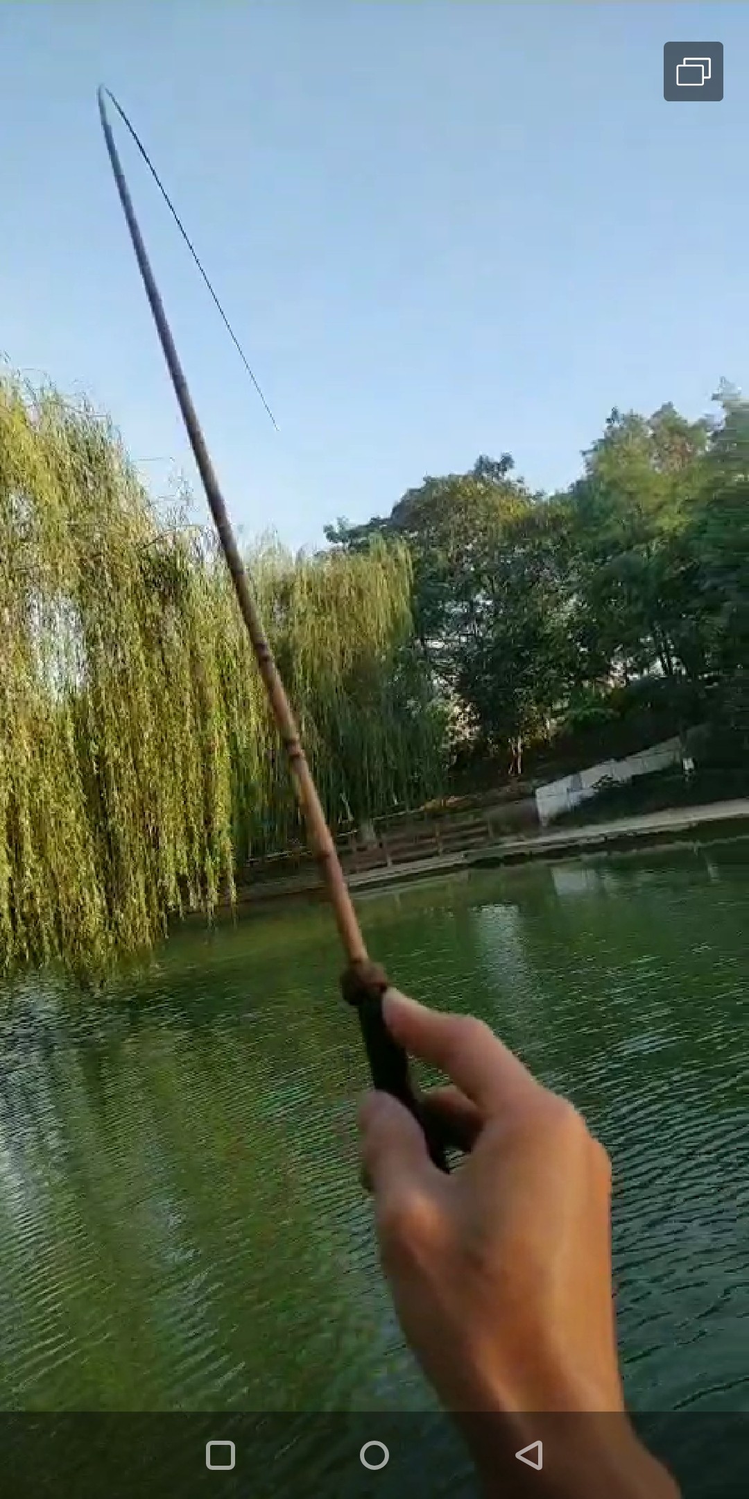 周五钓鱼攻略,周五垂钓