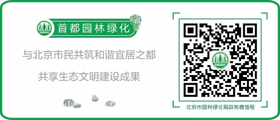 福利|“书香园林生态文化系列讲堂”线上开讲，聊聊五一在北京的野外怎么玩
