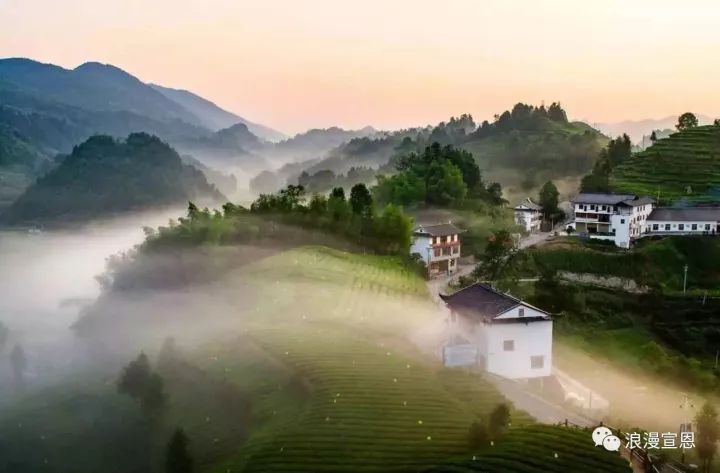 炎陵手工茶麸皂,手工茶皂