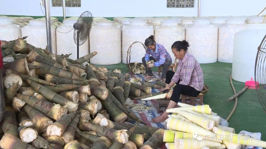 被马云看上的年轻人,被马云看上的人