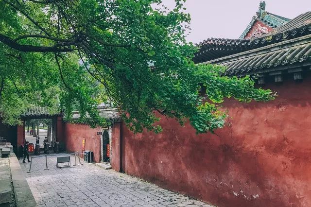 郑州免费景点排行榜前十名,2022春节郑州免费景点