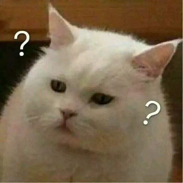 推特、脸书删近千内地涉港账号！外交部回应了……