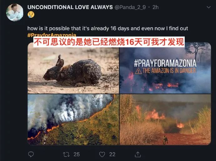 亚马孙火灾对空气造成了哪些影响,2019年亚马逊热带雨林大火