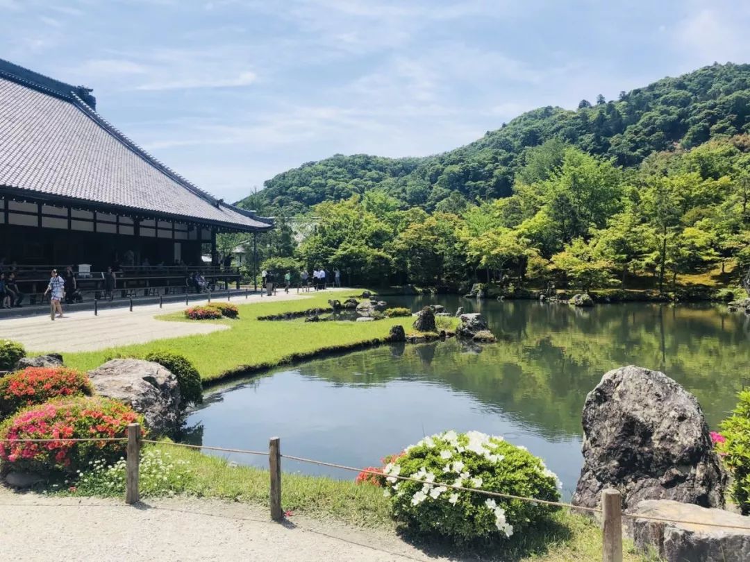 一枚熊孩子+三位高龄老人，携老扶幼的superhard模式，照样玩转日本自由行