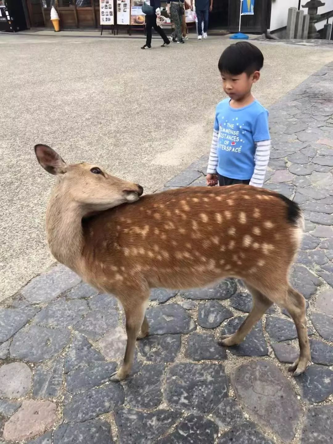 一枚熊孩子+三位高龄老人，携老扶幼的superhard模式，照样玩转日本自由行