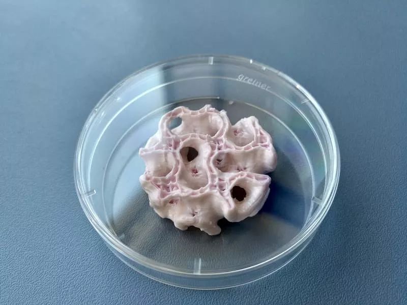 科技爱好者周刊13期,科技爱好者