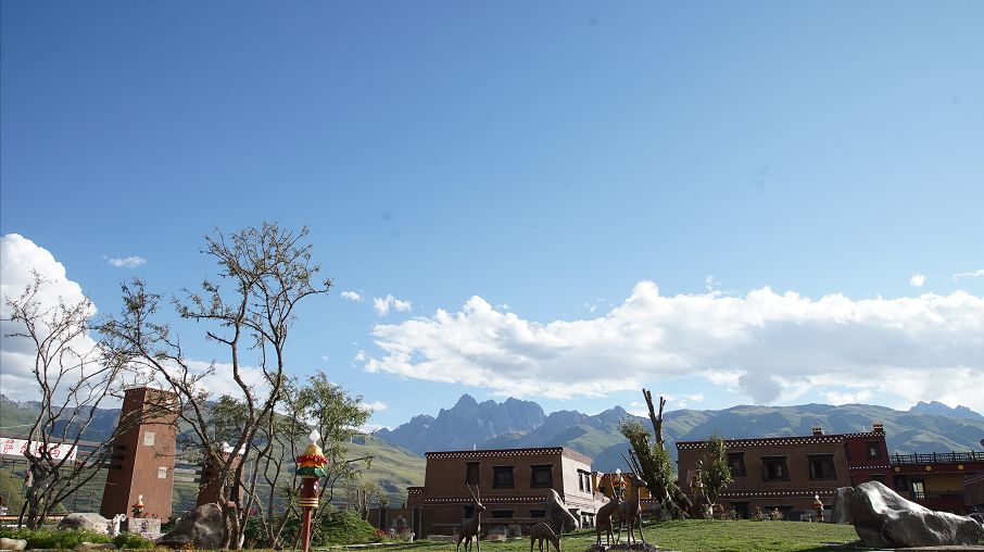 全县群众，政务服务中心搬家啦，这些新变化你要知道