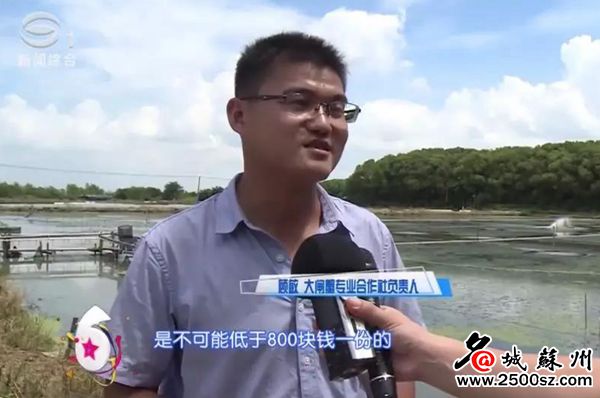 大闸蟹为什么那么多电商,大闸蟹电商款和精品款有什么区别