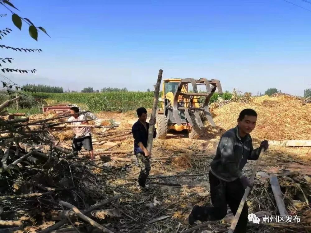 透过新闻眼，了解肃州事~~