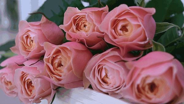 玉溪经典珍品,云南玉溪有哪些品牌