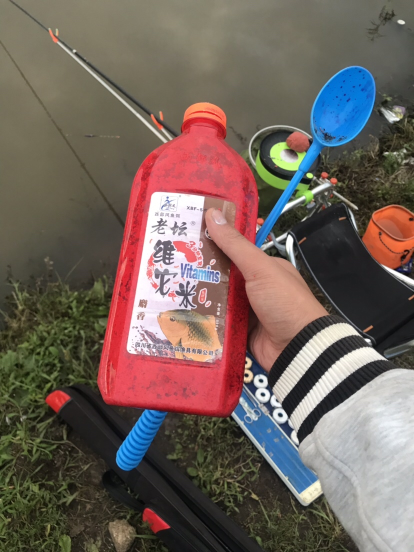 水库夜钓鲤鱼草鱼视频,水库夜钓大鲤鱼