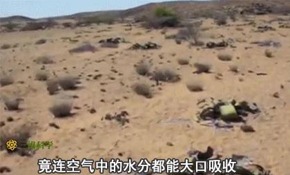 解决眼袋只需3步,不管眼袋多严重用点它