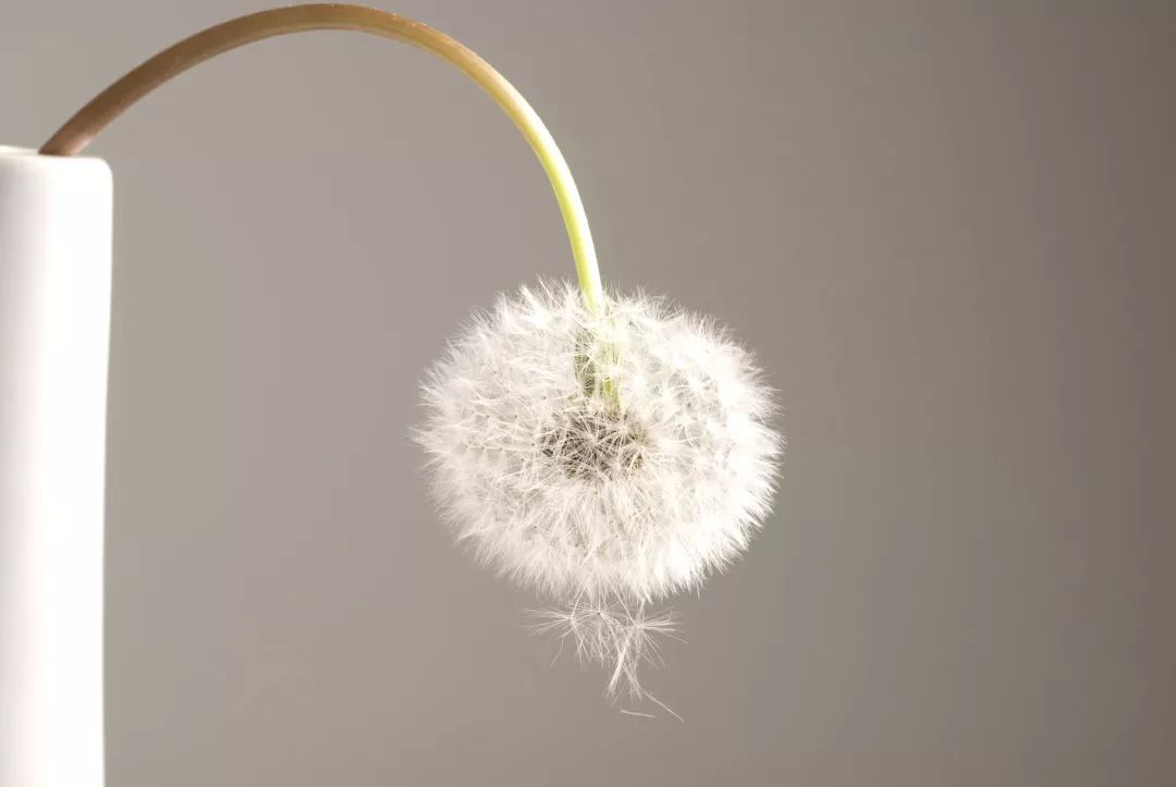 为了不让ED盯上你,男科专家要干两件事