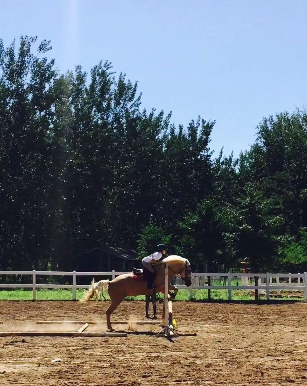 16岁姑娘放弃美籍中国夺冠,15岁混血女夺冠