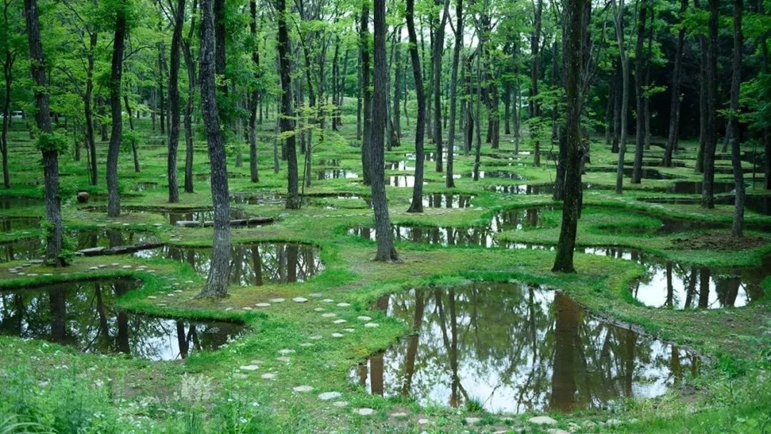 石上纯也代表作,石上纯也的作品有哪些