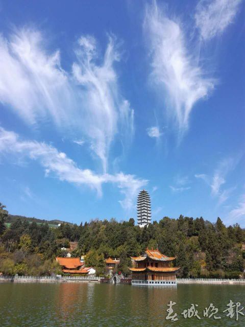 专访保山市委副书记、市长杨军以杨善洲精神推动保山高质量跨越发展