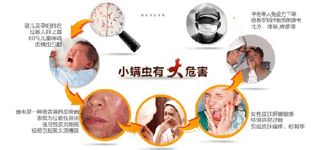 这个乳胶枕太强了！止鼾、防螨虫，全家适用的睡眠伴侣