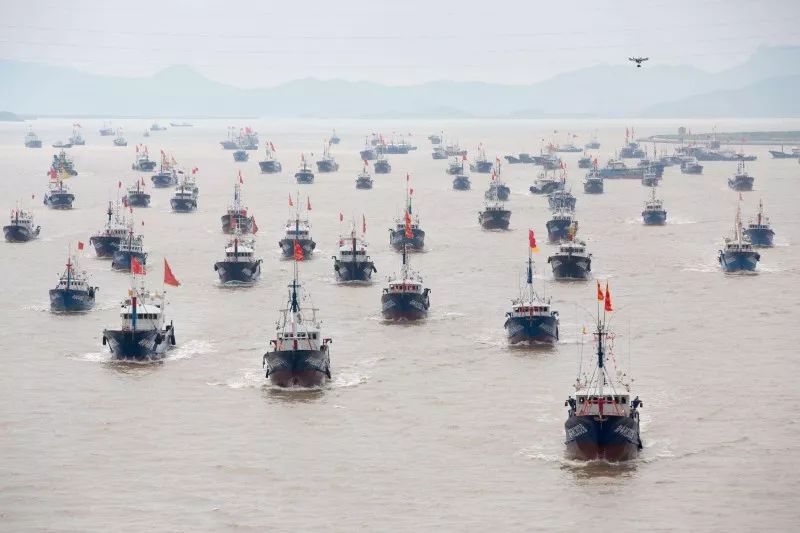 东海开渔第一网！20年本帮菜大佬开卖小海鲜，人均只要100+