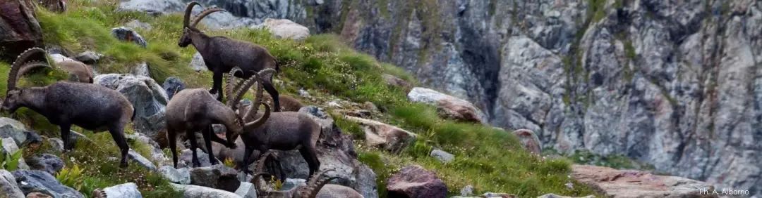 小屋到小屋的远足，走出心中世界