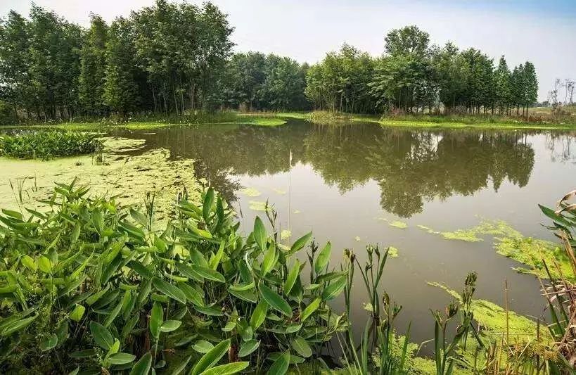 回归大自然呼吸天然氧吧,回归大自然清新空气