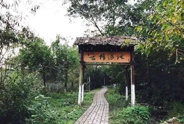 回归大自然呼吸天然氧吧,回归大自然清新空气