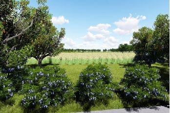 占地30亩的公园微型公园,8个新批公园