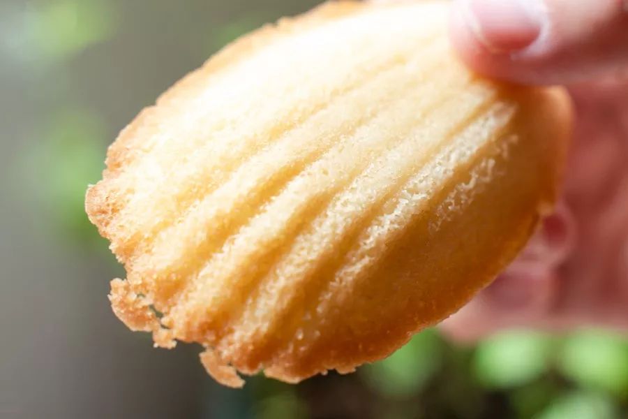 costco购买大盘点,costco哪些值得买