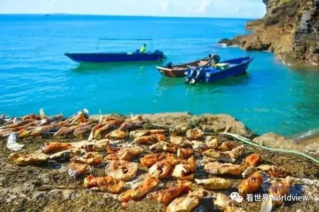 广西今日头条地址,广西有哪些头条自媒体