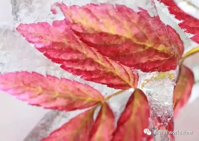 广西今日头条地址,广西有哪些头条自媒体