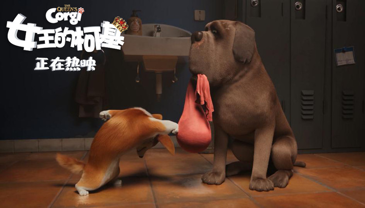 女王的柯基中文版免费观看完整版,女王的柯基在线免费看全集完整版