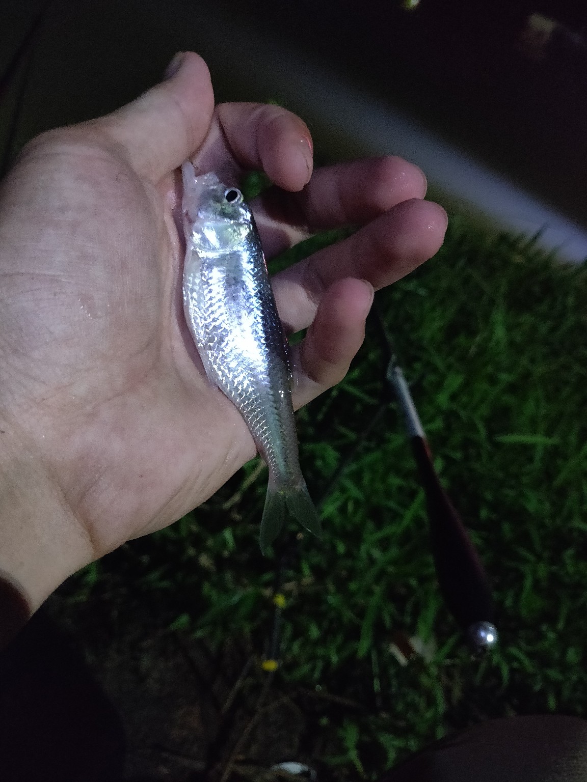 水情不稳定如何钓鱼,水情不明钓鱼必须每次都调漂吗