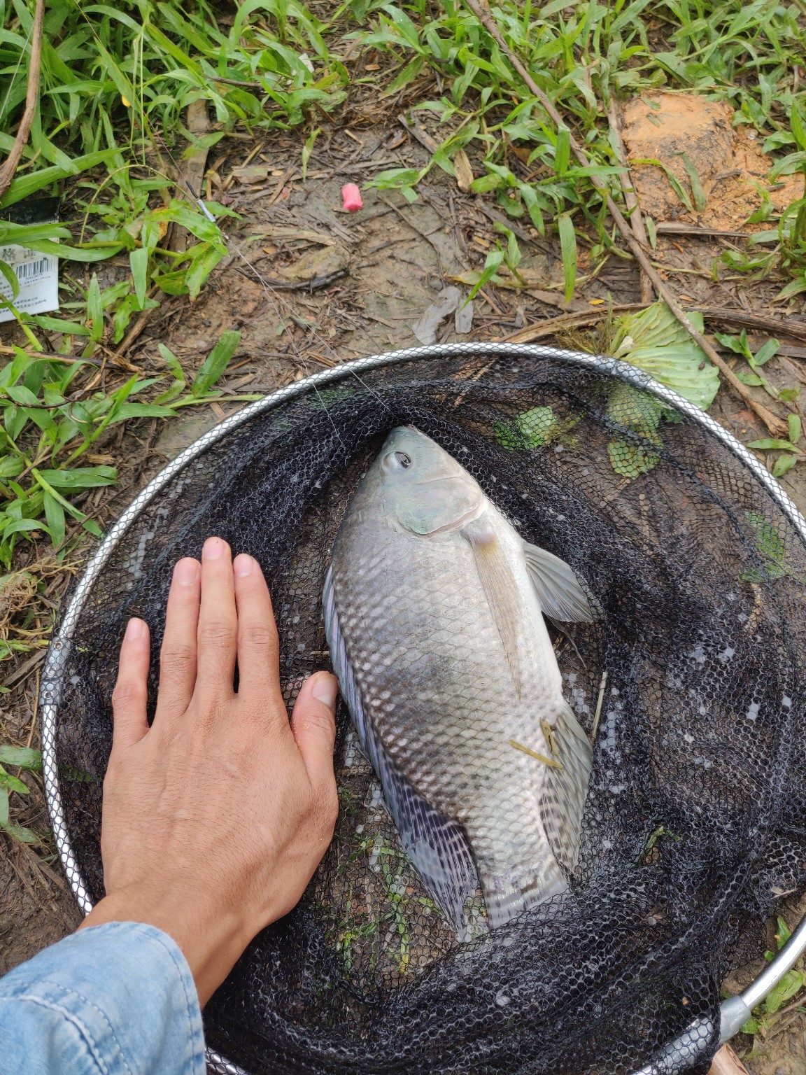 水情不稳定如何钓鱼,水情不明钓鱼必须每次都调漂吗