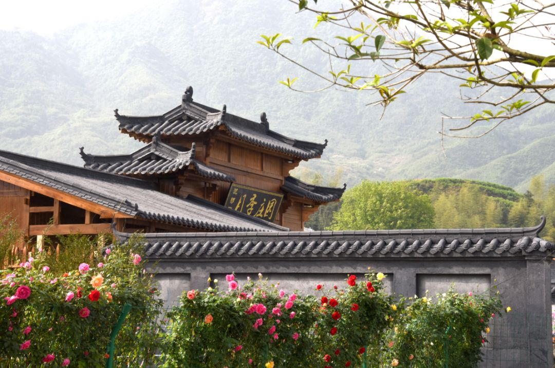 开学之际的一次旅行,咸宁学生游玩地方推荐