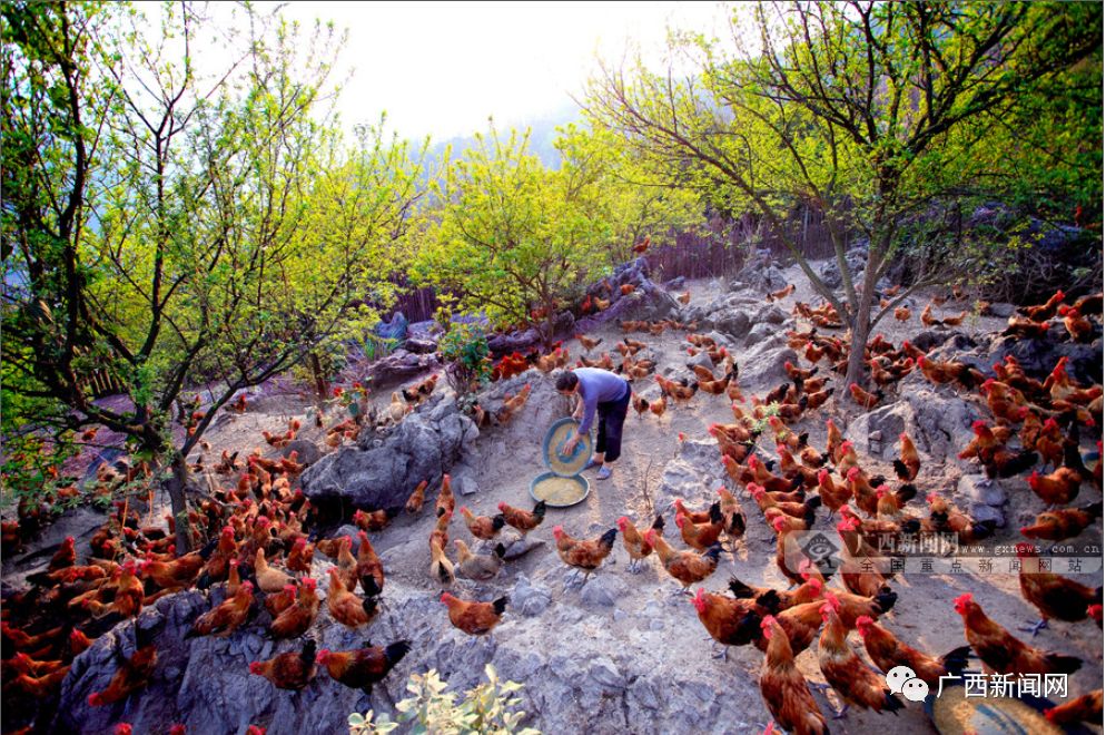 辉煌70年壮美广西新征程,新时代壮美广西谱新篇感想