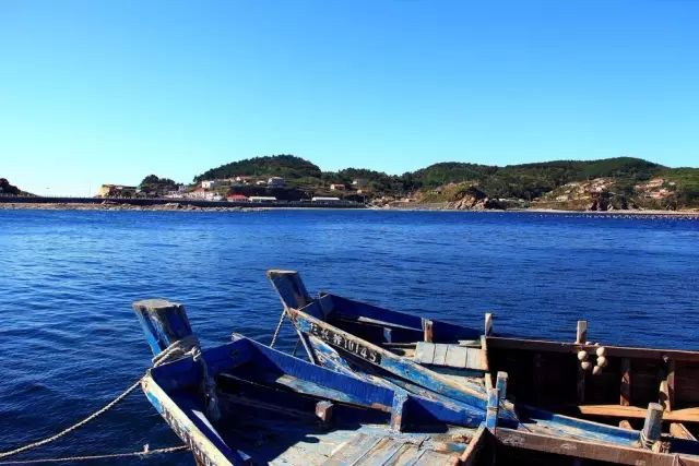 大连开海后的海鲜,开海了吃海鲜去哪个码头最便宜