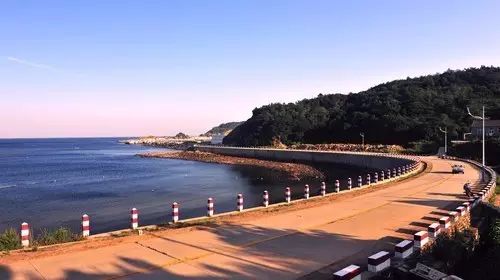 大连开海后的海鲜,开海了吃海鲜去哪个码头最便宜